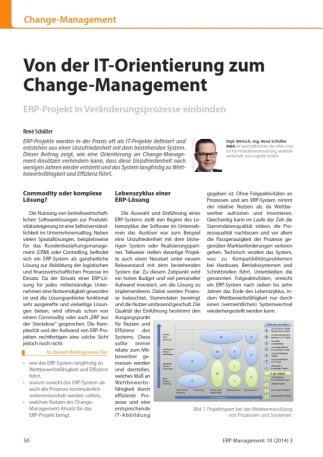 Change Management, ERP Projekt